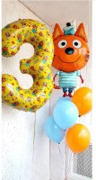 i (18)1